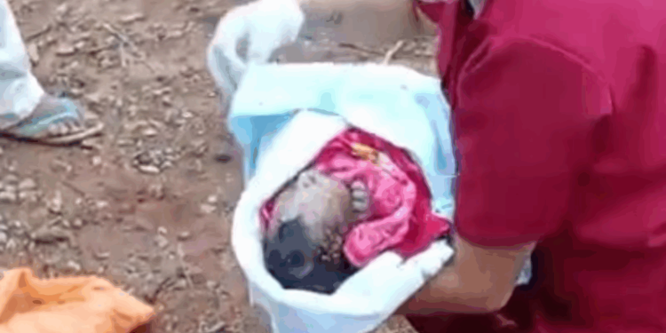 Bebê abandonado por mãe adolescente é atacado por cães e morre no hospital