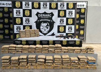 Polícia apreende 156 kg de maconha avaliados em R$ 3,2 milhões e prende homem em flagrante com três armas de fogo