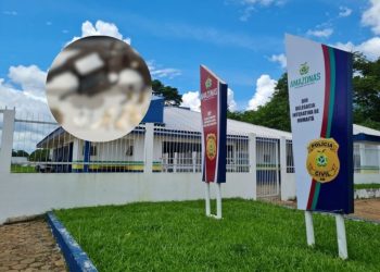 No AM, Polícia Civil prende homem em flagrante por tráfico de drogas, posse de arma de fogo e corrupção de menores 