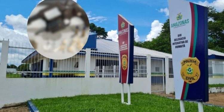 No AM, Polícia Civil prende homem em flagrante por tráfico de drogas, posse de arma de fogo e corrupção de menores
