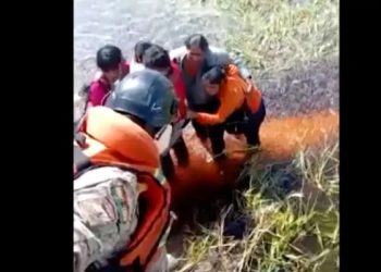 Avião cai e passageiros ficam 36h cercados por jacarés