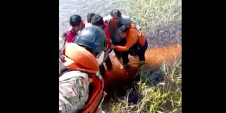 Avião cai e passageiros ficam 36h cercados por jacarés
