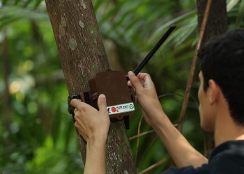 Semana do Meio Ambiente: UEA participará da feira integrada Eco Amazônia