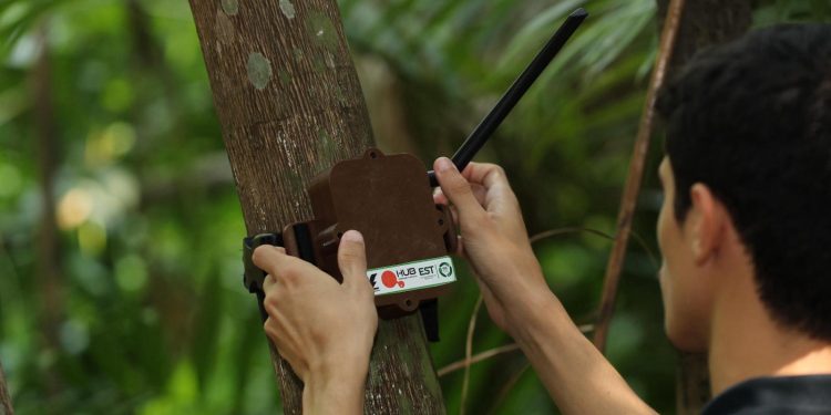 Semana do Meio Ambiente: UEA participará da feira integrada Eco Amazônia