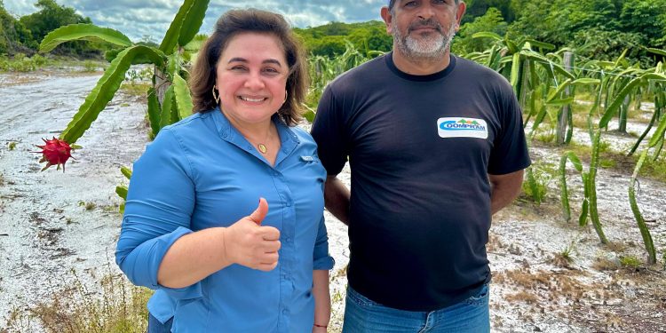 Em encontro com produtores de pitaya, Professora Maria do Carmo defende agronegócio sustentável no Amazonas