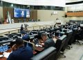 CMM aprova programa de acolhimento e orientação a mães atípicas em Manaus